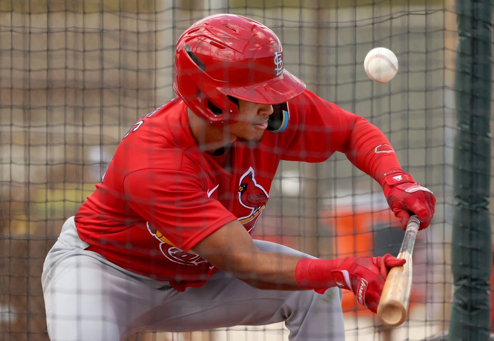 Cardinals minor-league spring training day three in Jupiter
